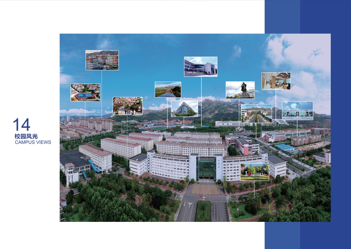 2023年2023白菜网总站大全宣传册