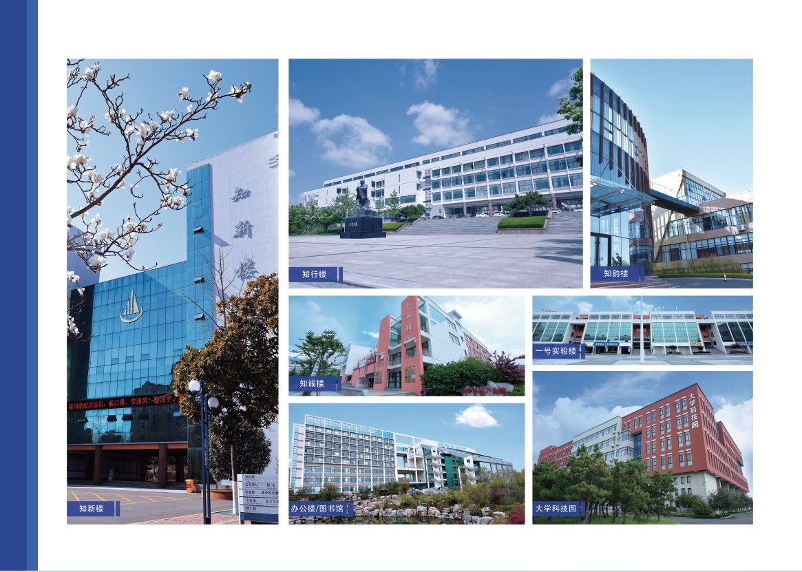 2023年2023白菜网总站大全宣传册