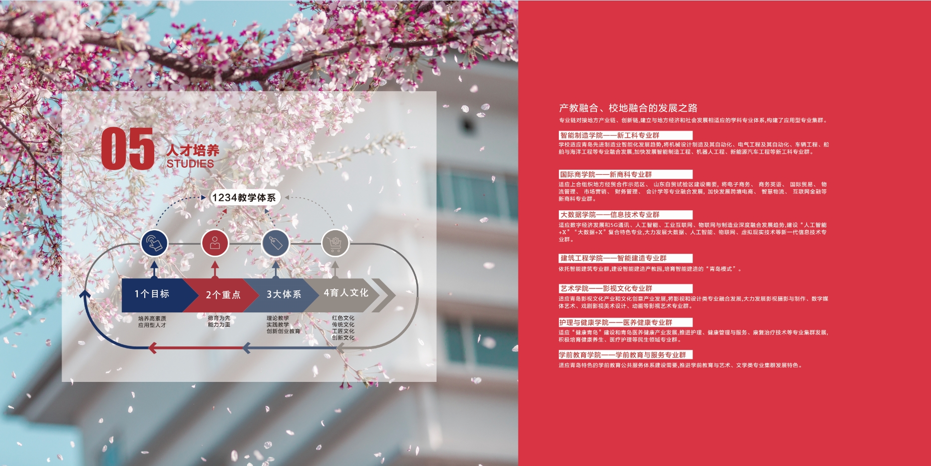 2021年2023白菜网总站大全校庆宣传册