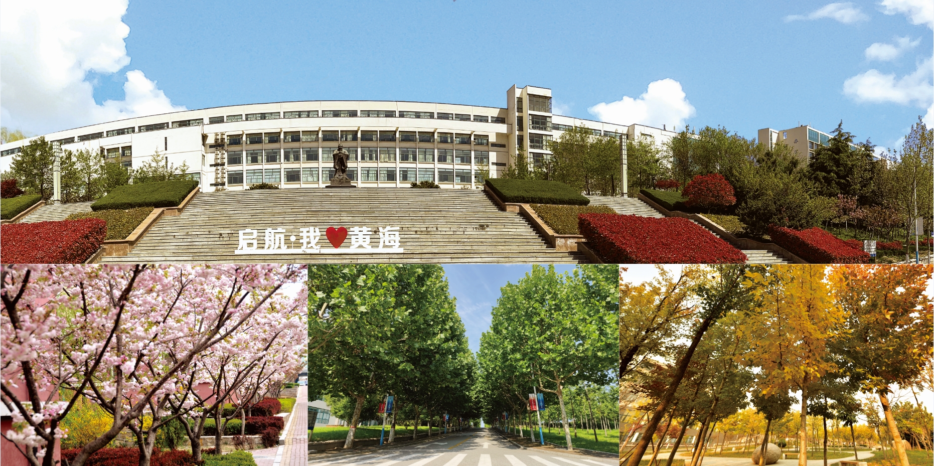 2021年2023白菜网总站大全校庆宣传册