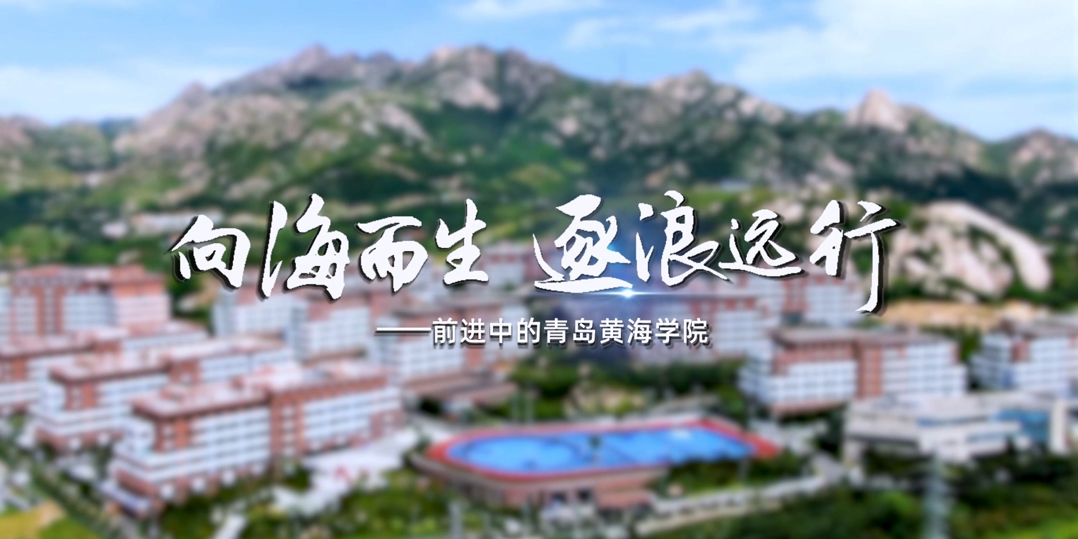 《向海而生 逐浪远行》——前进中的2023白菜网总站大全